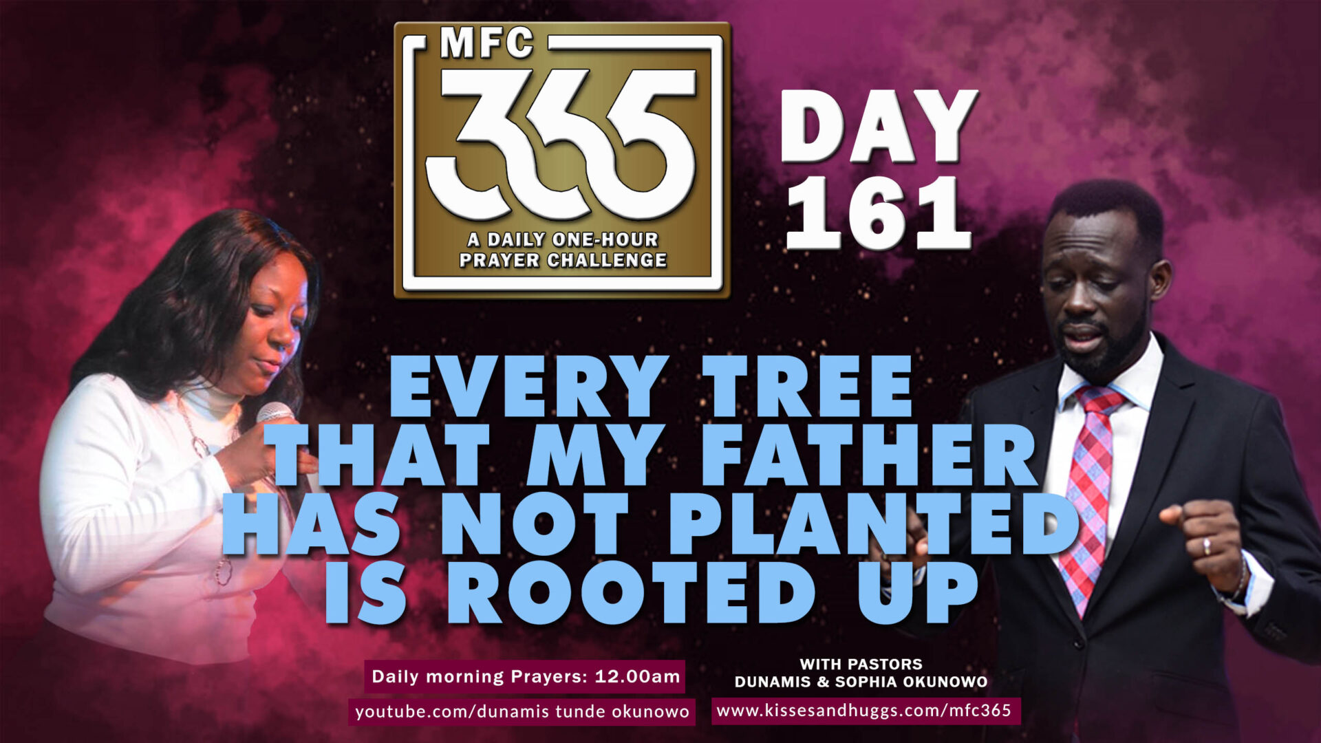 Rooted Up – MFC 365 Challenge – Day 161