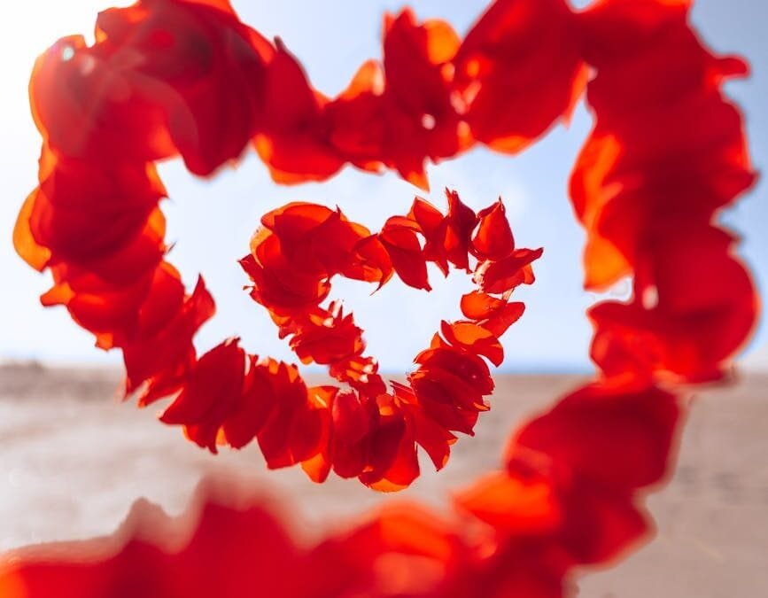 Why Am I So Much in Love?